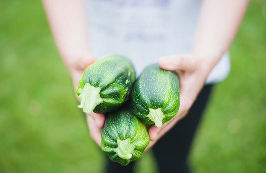 Easy Zucchini Flour Recipe & Updates