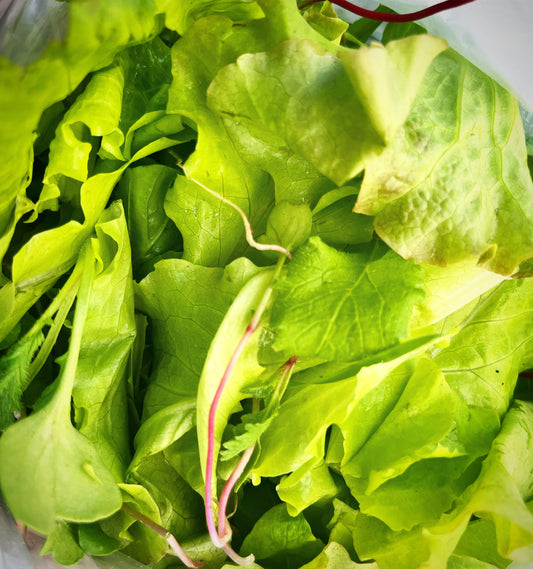 Salad Mix
