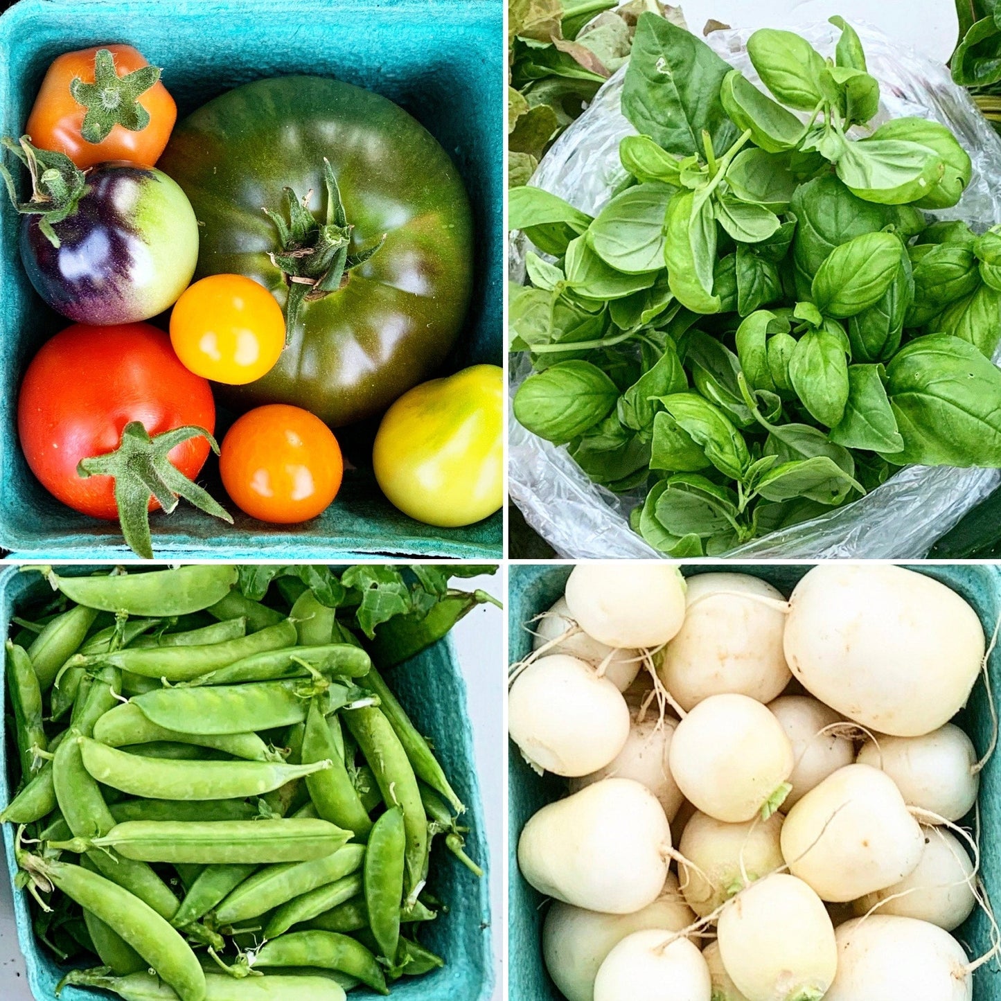 BiWeekly CSA Hyperlocal Produce Box - Spring 2025