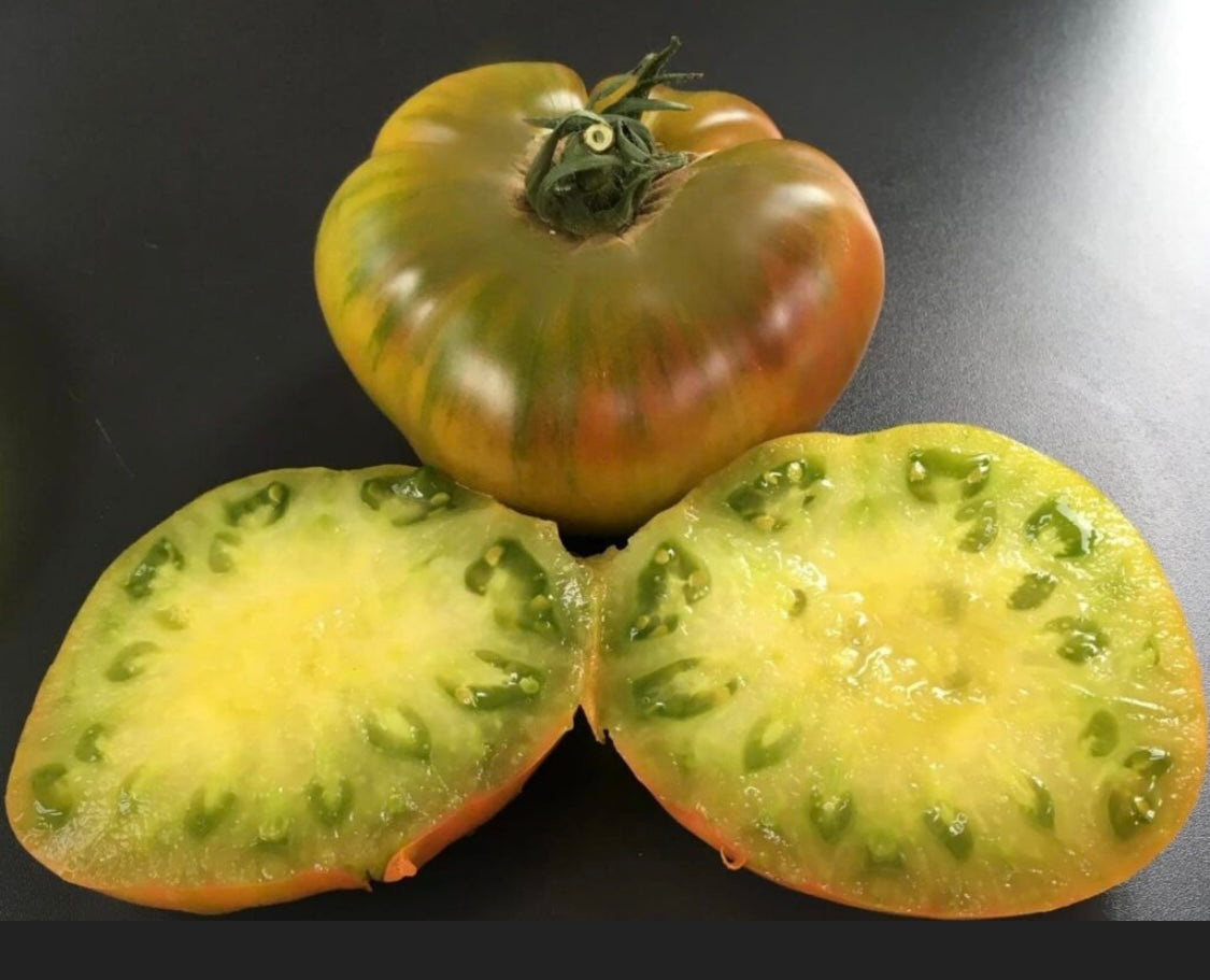 Malakhitsuya shkatulka tomato plant