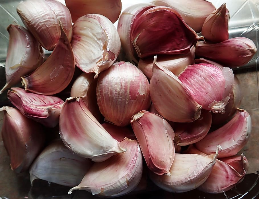 Purple Glazer Garlic