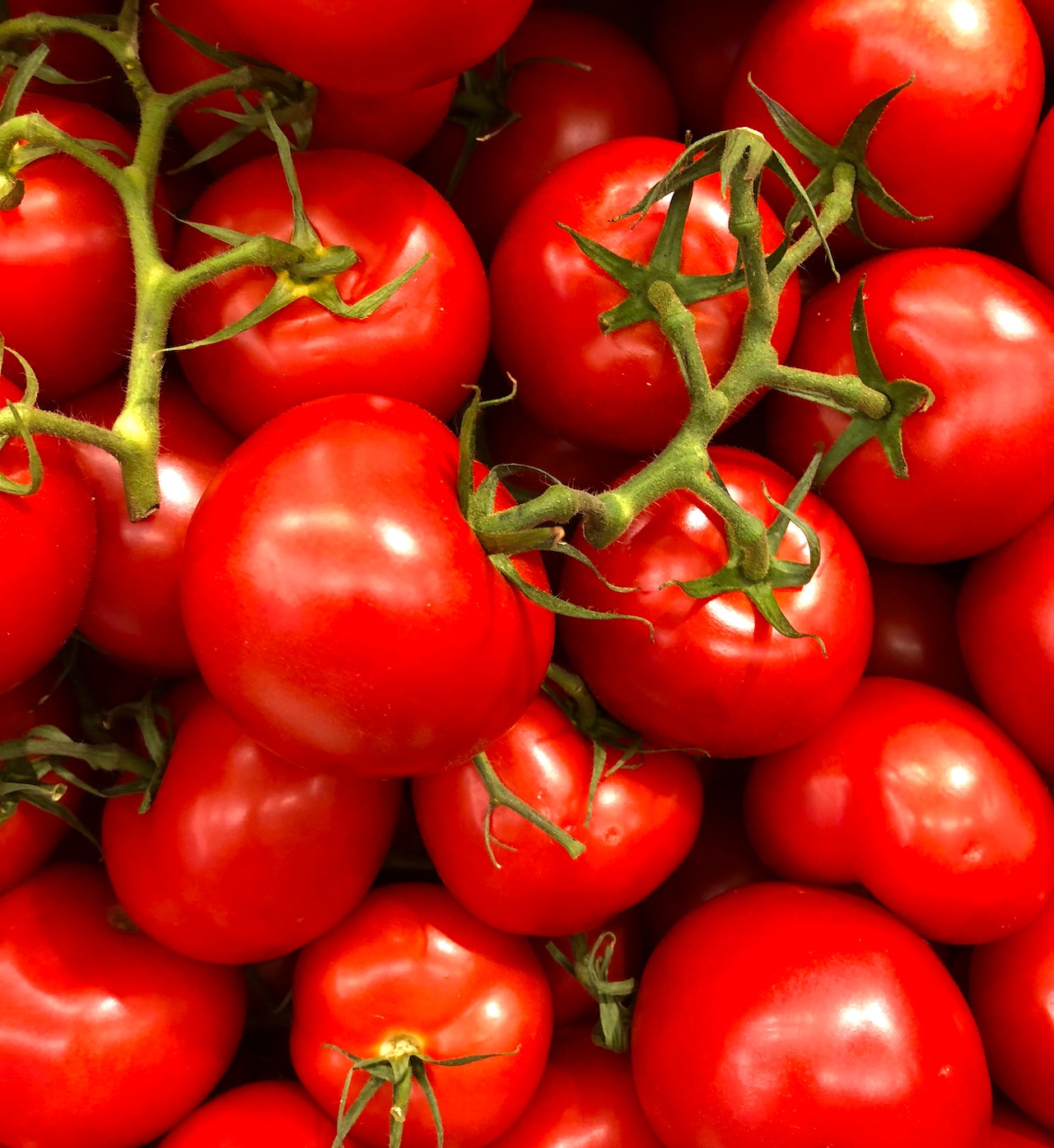 Tumbler Tomato