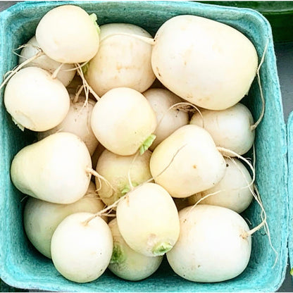 Japanese Hakurei White Salad Turnips