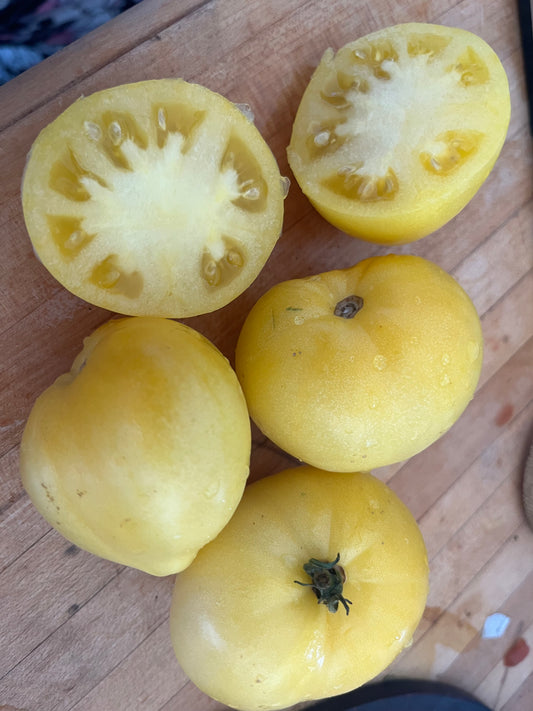 Lemon Ice Dwarf Tomato