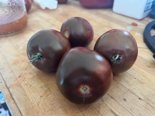 Black Prince Tomato plant