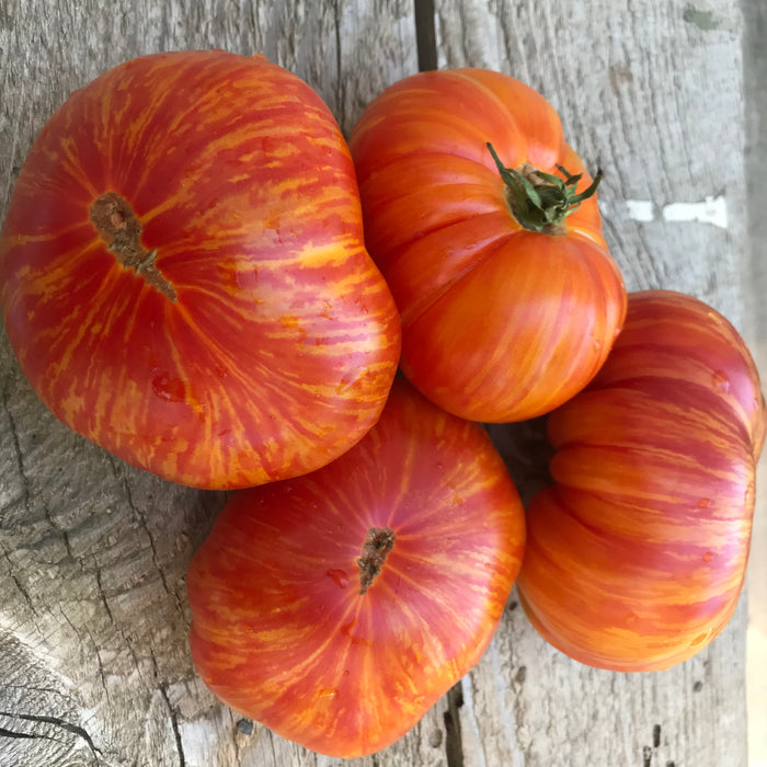 Worry Dwarf tomato seeds