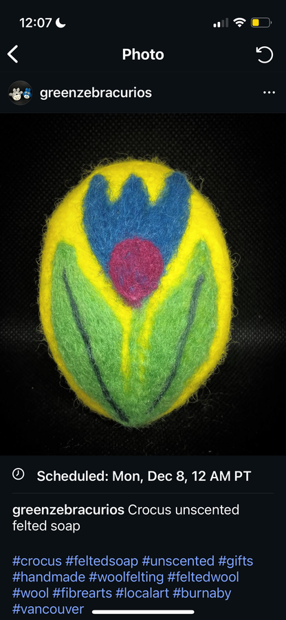 Unscented Felted Soap