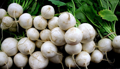 Japanese Hakurei White Salad Turnips