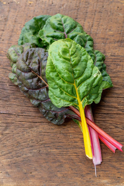 Rainbow Swiss Chard