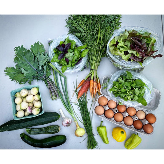 Biweekly CSA Sustainable Produce Box - Spring 2024